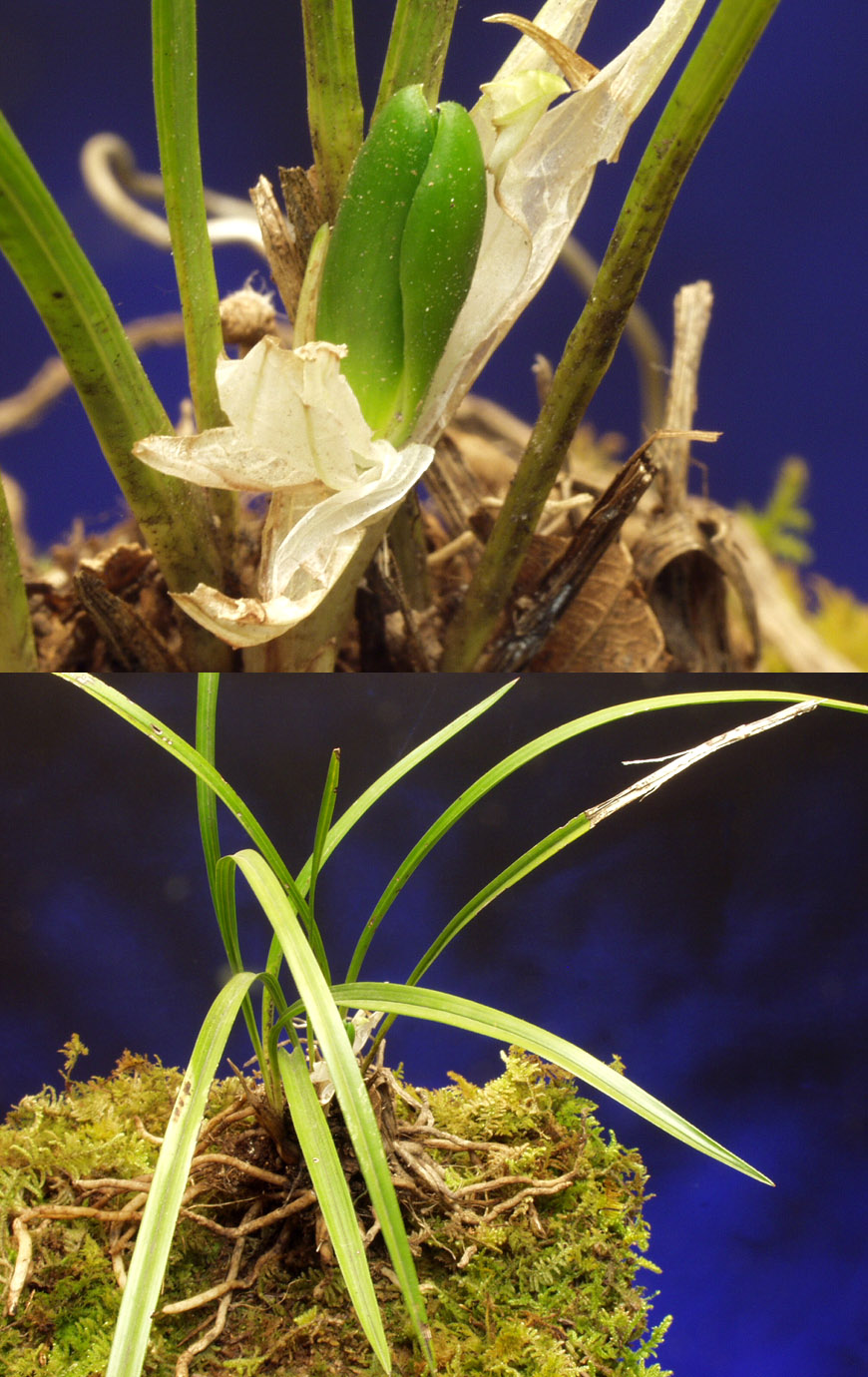 ������ ū������ �� �� �ֽ��ϴ�.