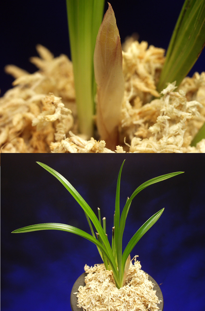 ������ ū������ �� �� �ֽ��ϴ�.