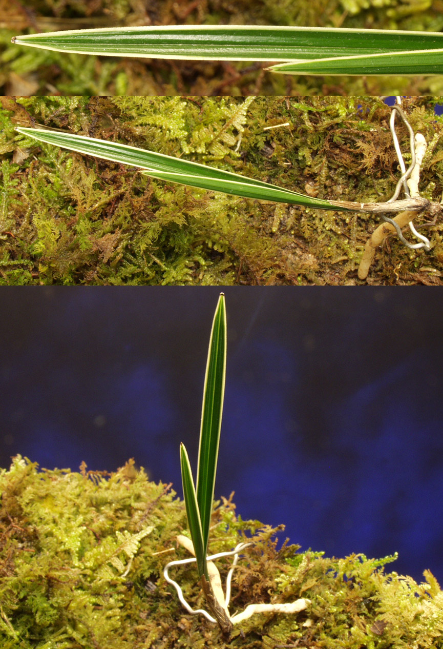 ������ ū������ �� �� �ֽ��ϴ�.