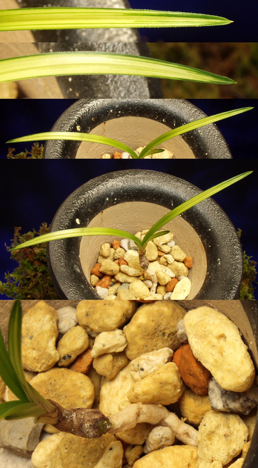 ������ ū������ �� �� �ֽ��ϴ�.