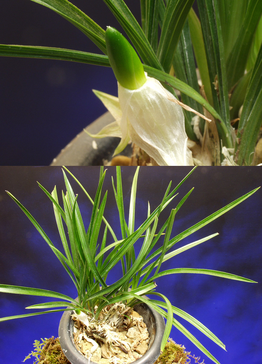 ������ ū������ �� �� �ֽ��ϴ�.