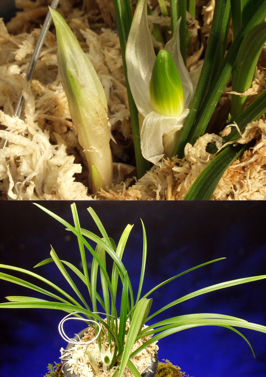 ������ ū������ �� �� �ֽ��ϴ�.