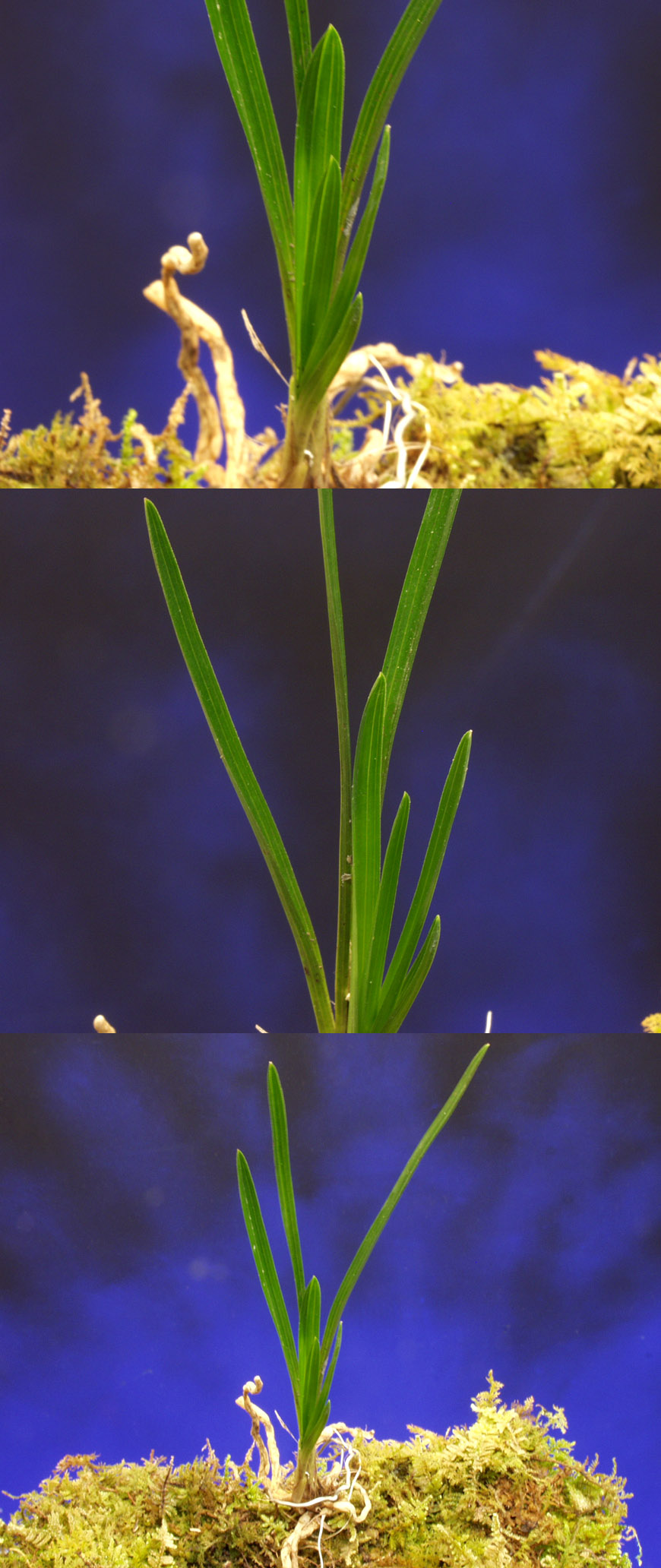 ������ ū������ �� �� �ֽ��ϴ�.