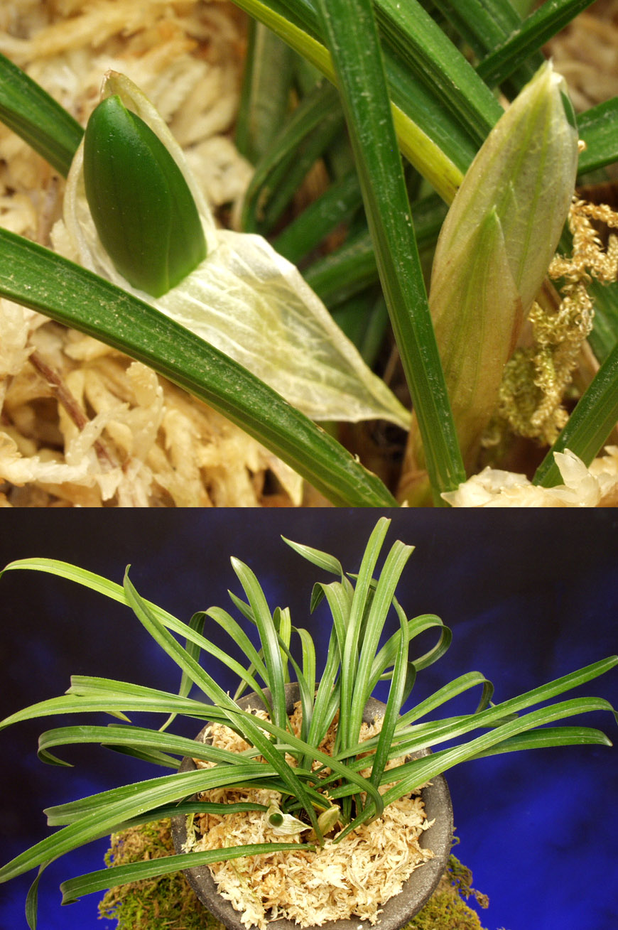 ������ ū������ �� �� �ֽ��ϴ�.