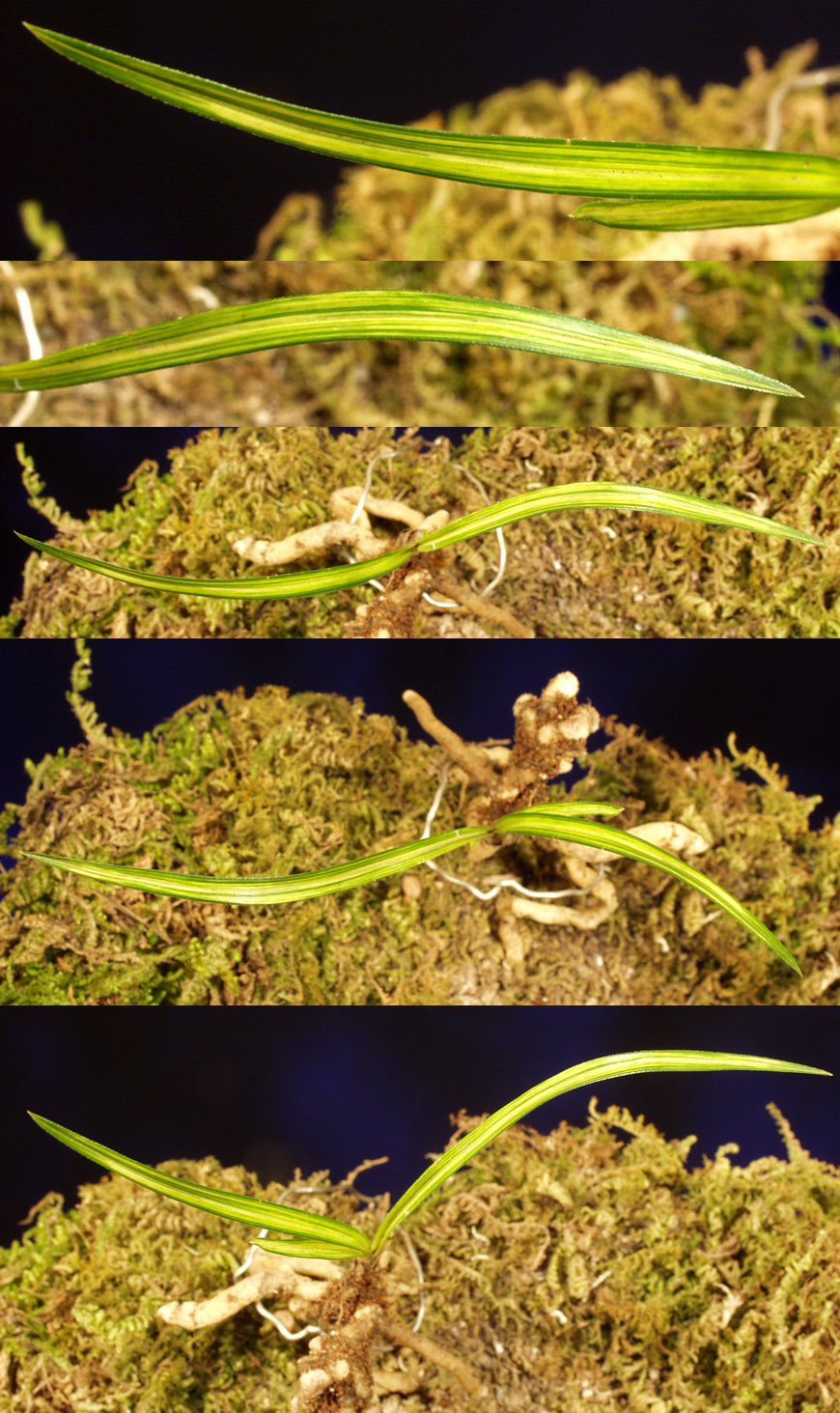 ������ ū������ �� �� �ֽ��ϴ�.