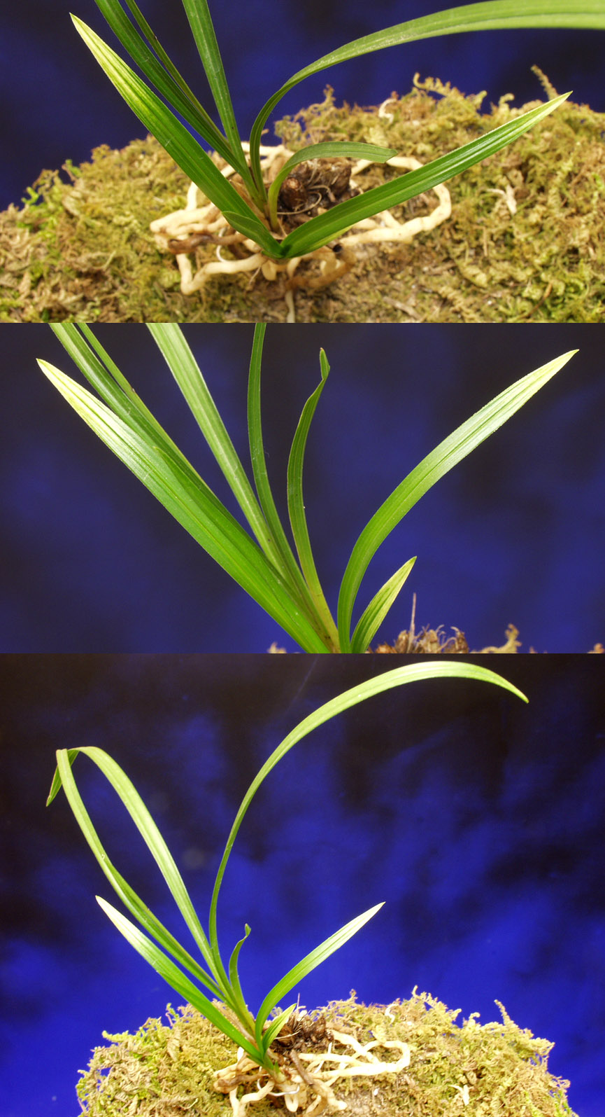 ������ ū������ �� �� �ֽ��ϴ�.