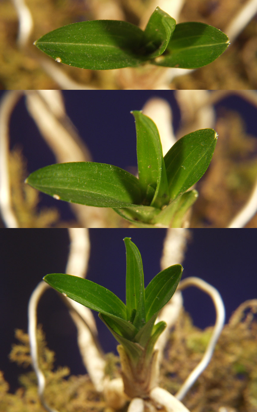 ������ ū������ �� �� �ֽ��ϴ�.