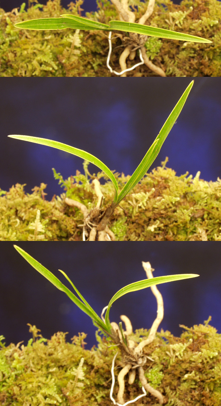 ������ ū������ �� �� �ֽ��ϴ�.