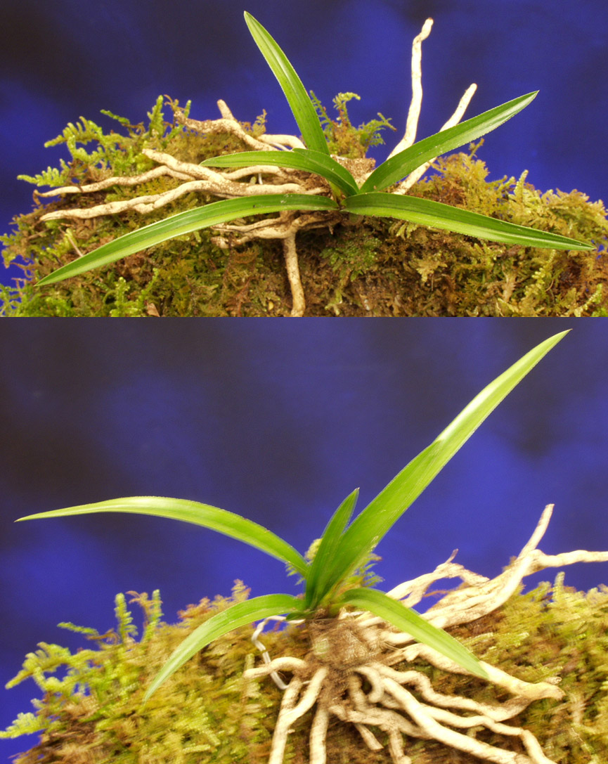 ������ ū������ �� �� �ֽ��ϴ�.