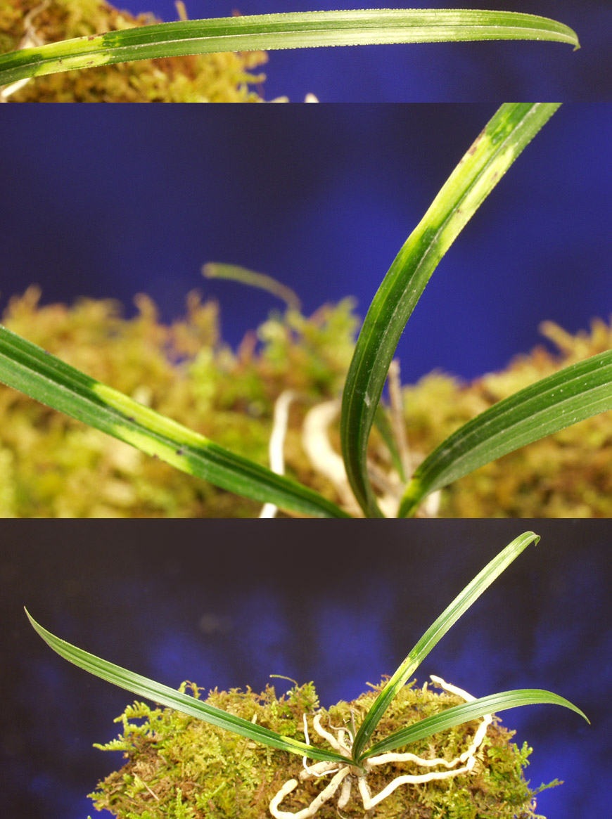 ������ ū������ �� �� �ֽ��ϴ�.