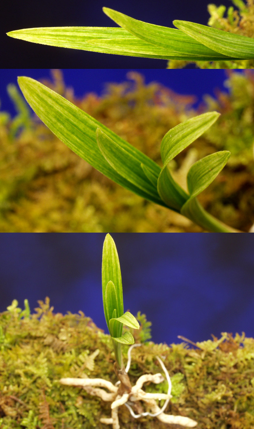 ������ ū������ �� �� �ֽ��ϴ�.