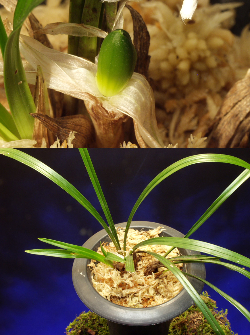 ������ ū������ �� �� �ֽ��ϴ�.