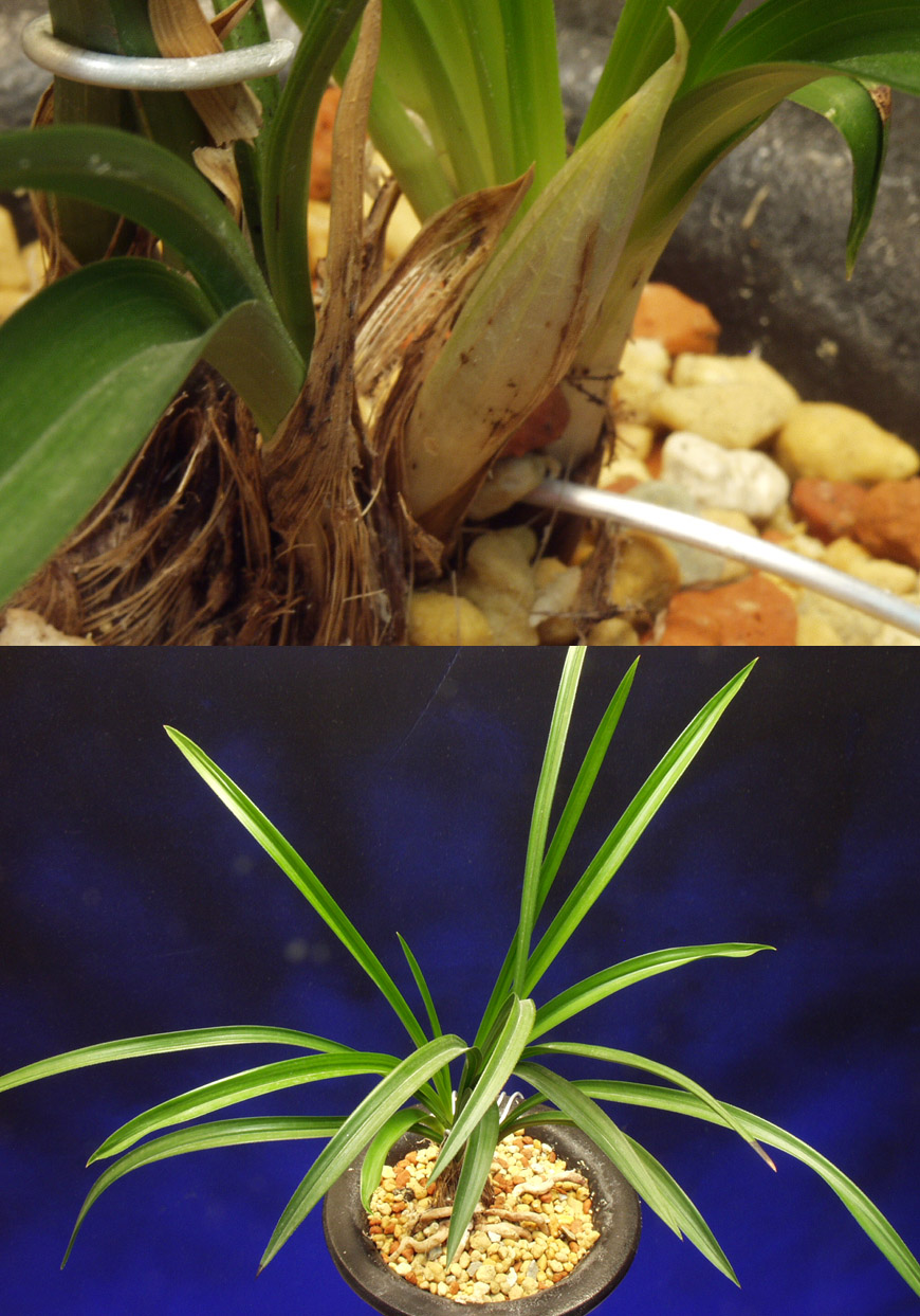 ������ ū������ �� �� �ֽ��ϴ�.