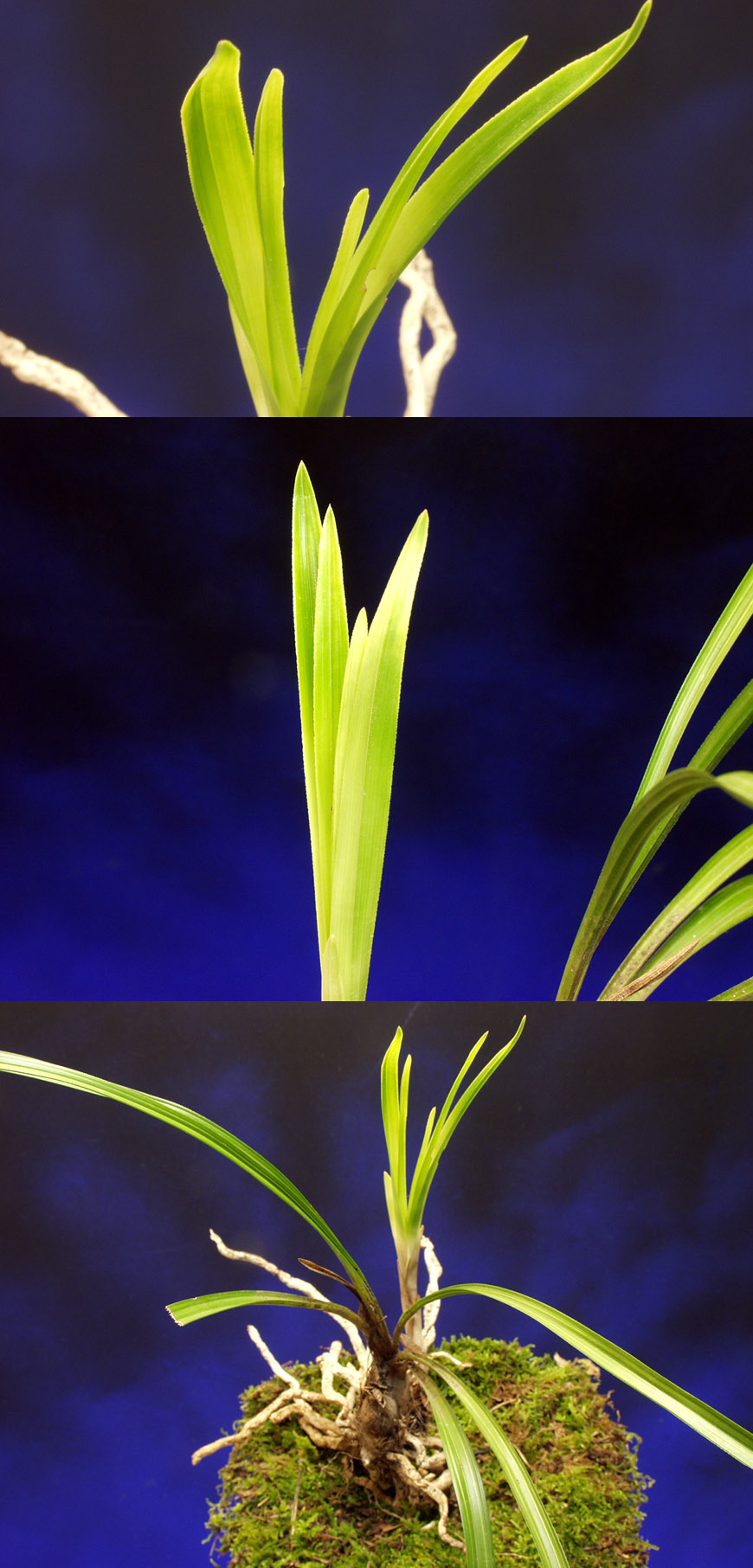 ������ ū������ �� �� �ֽ��ϴ�.