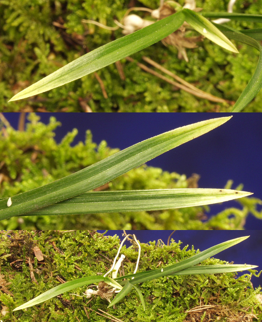 ������ ū������ �� �� �ֽ��ϴ�.