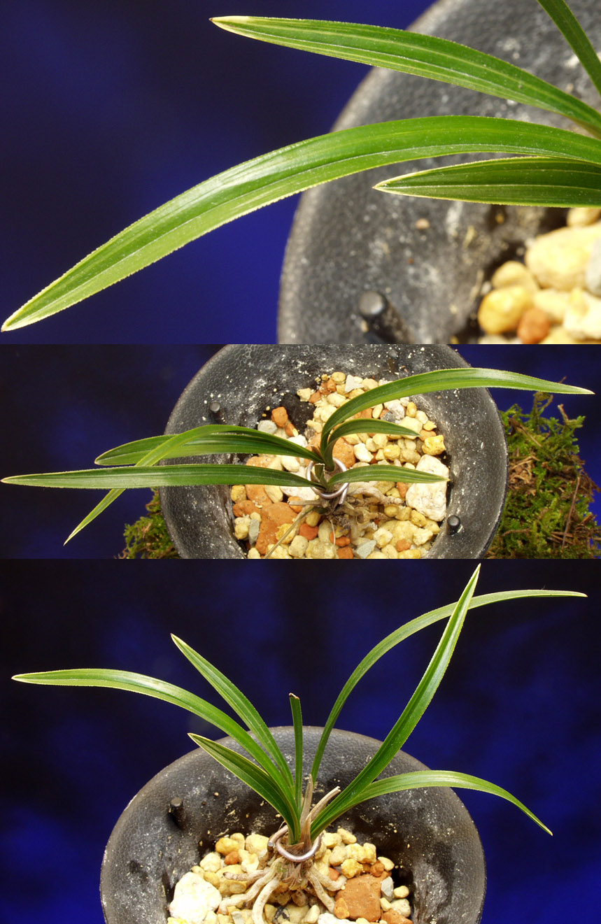 ������ ū������ �� �� �ֽ��ϴ�.