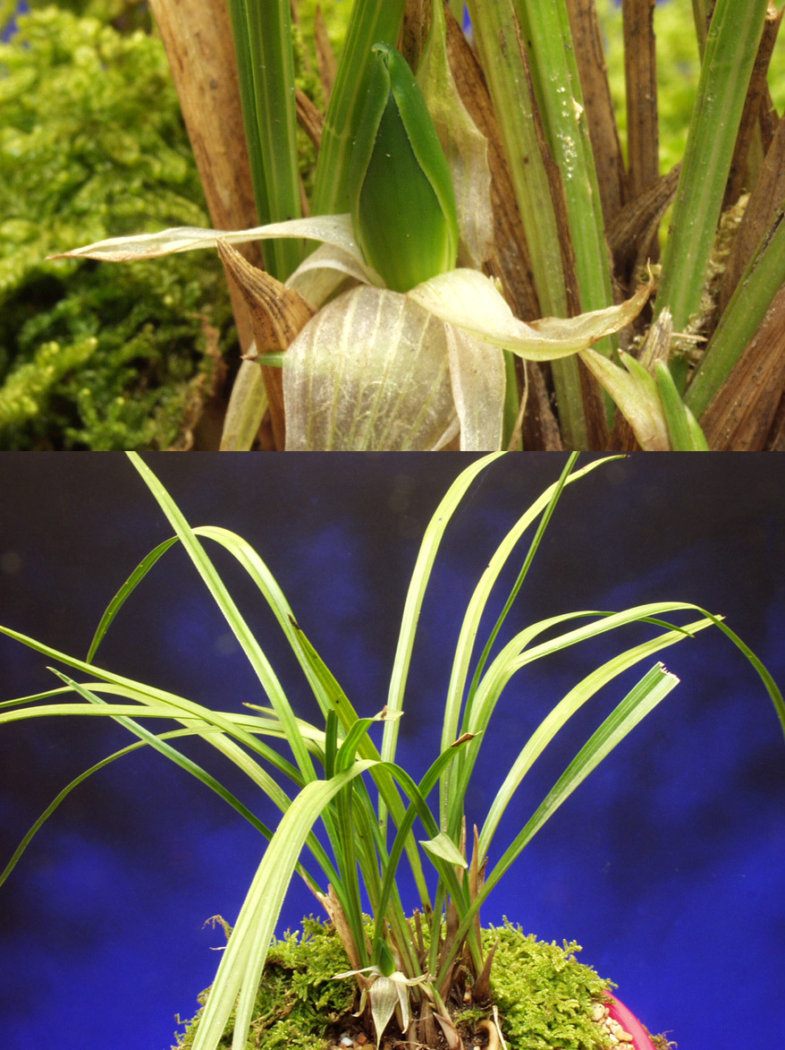 ������ ū������ �� �� �ֽ��ϴ�.