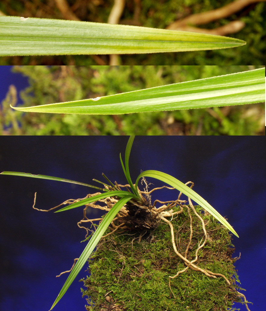 ������ ū������ �� �� �ֽ��ϴ�.