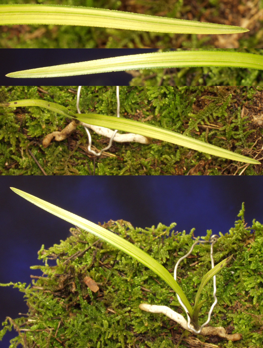 ������ ū������ �� �� �ֽ��ϴ�.