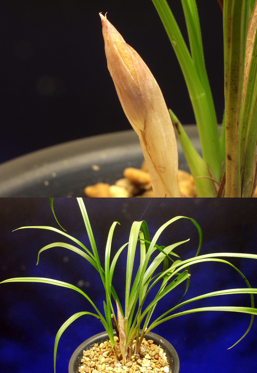 ������ ū������ �� �� �ֽ��ϴ�.