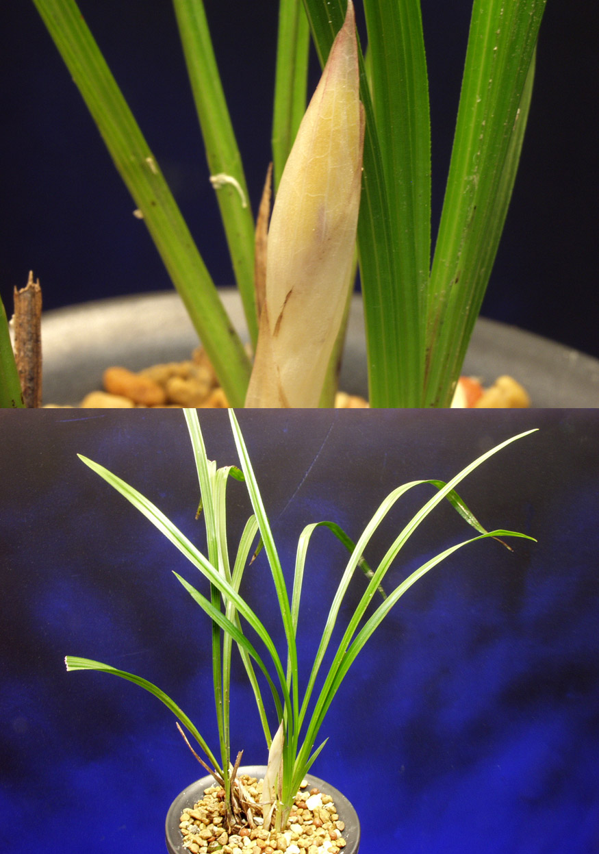 ������ ū������ �� �� �ֽ��ϴ�.