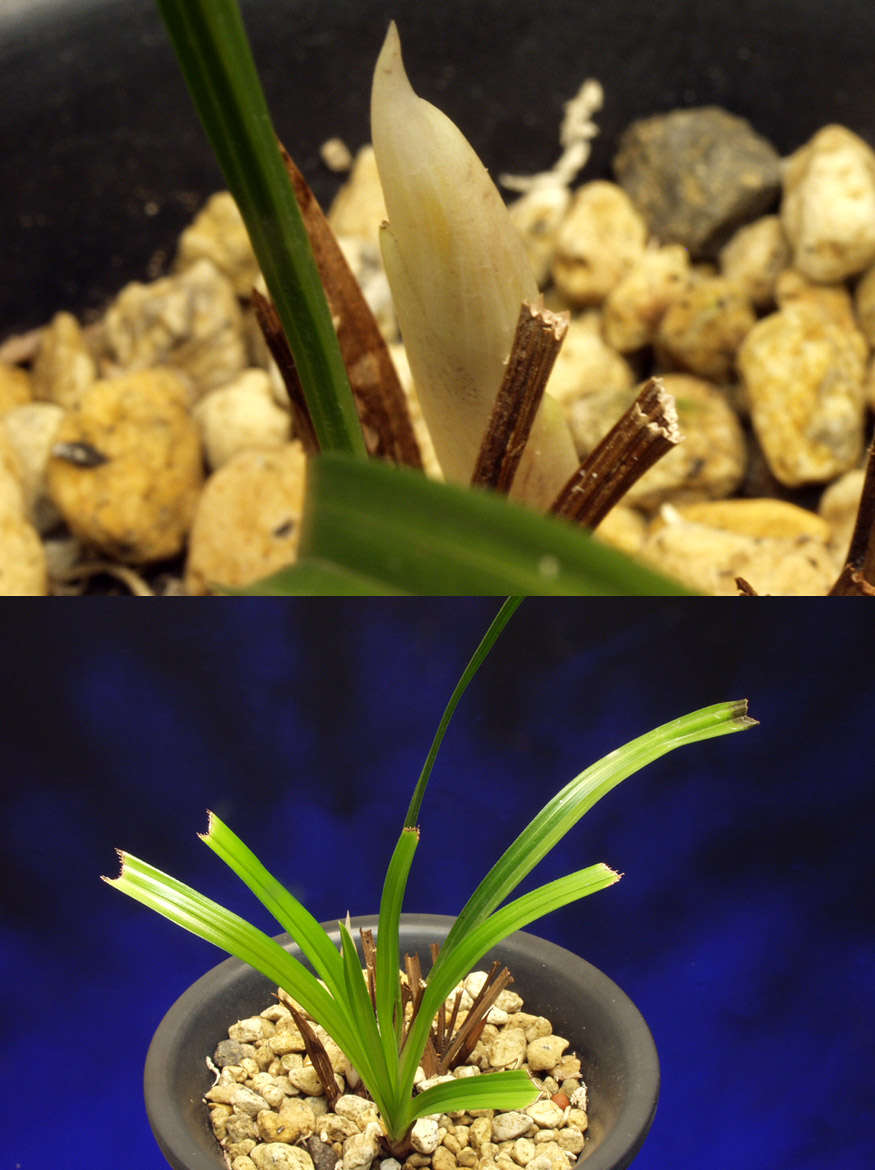 ������ ū������ �� �� �ֽ��ϴ�.