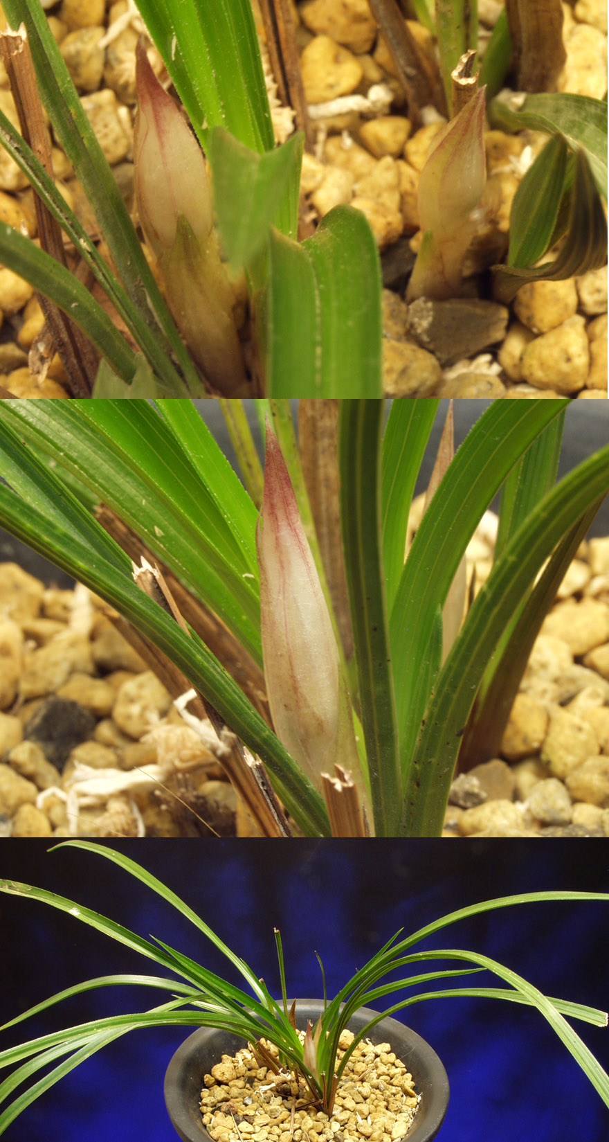 ������ ū������ �� �� �ֽ��ϴ�.