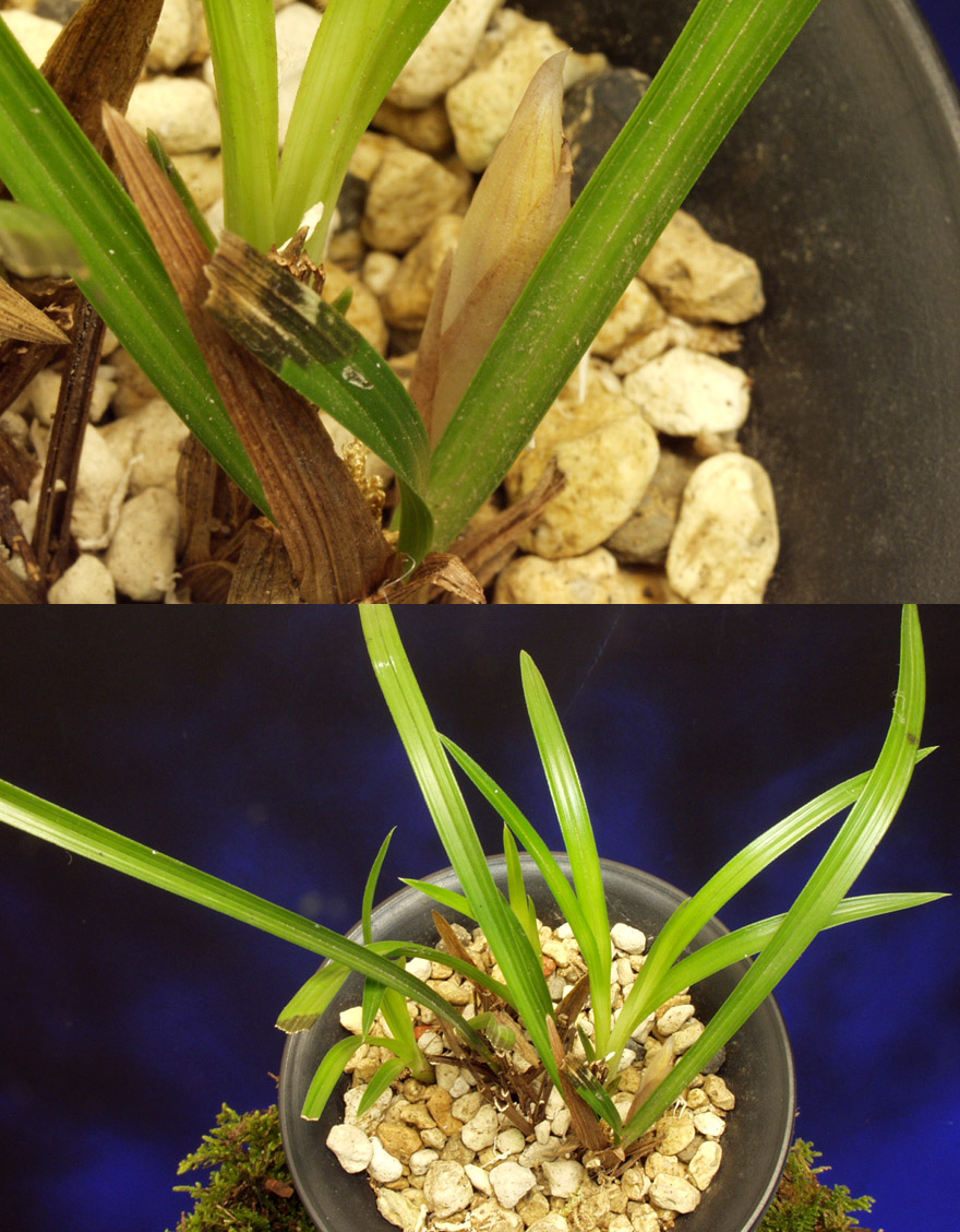 ������ ū������ �� �� �ֽ��ϴ�.