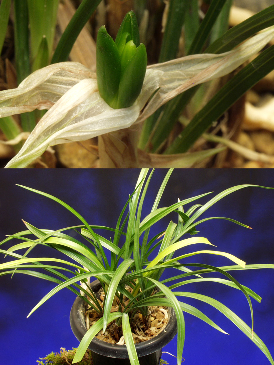 ������ ū������ �� �� �ֽ��ϴ�.