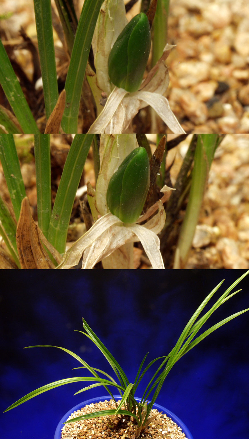 ������ ū������ �� �� �ֽ��ϴ�.