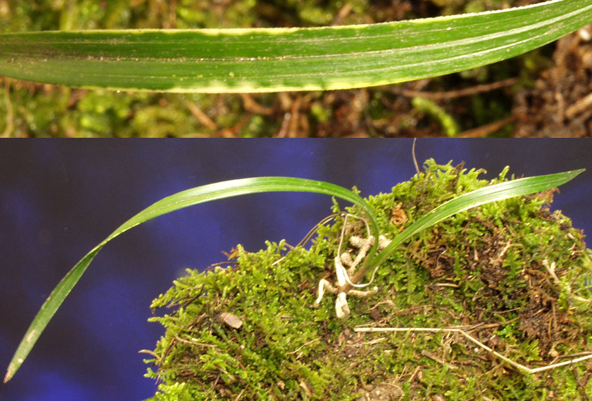 ������ ū������ �� �� �ֽ��ϴ�.