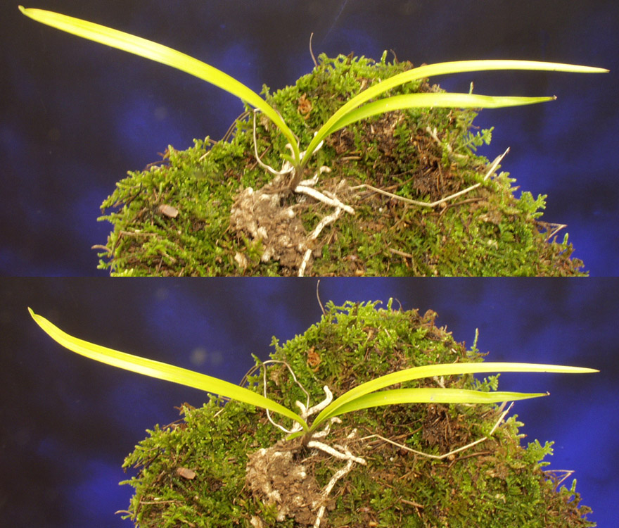 ������ ū������ �� �� �ֽ��ϴ�.