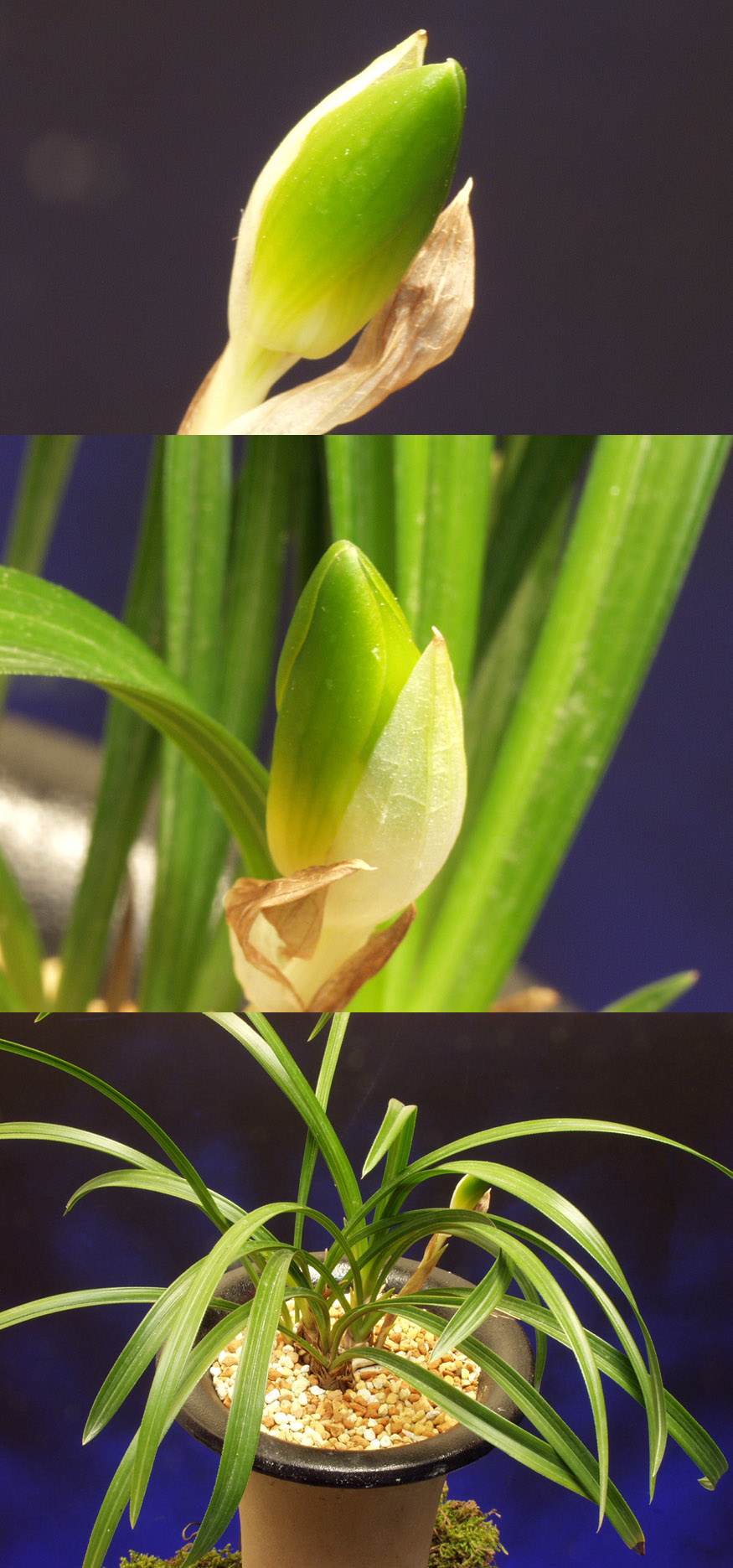 ������ ū������ �� �� �ֽ��ϴ�.