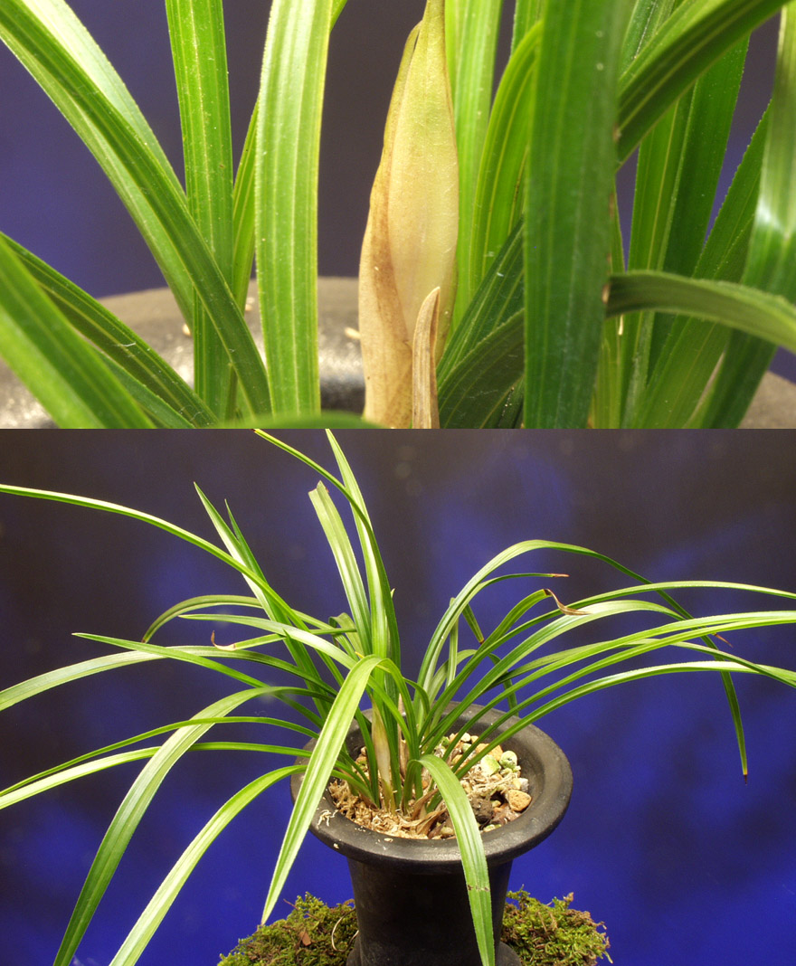 ������ ū������ �� �� �ֽ��ϴ�.