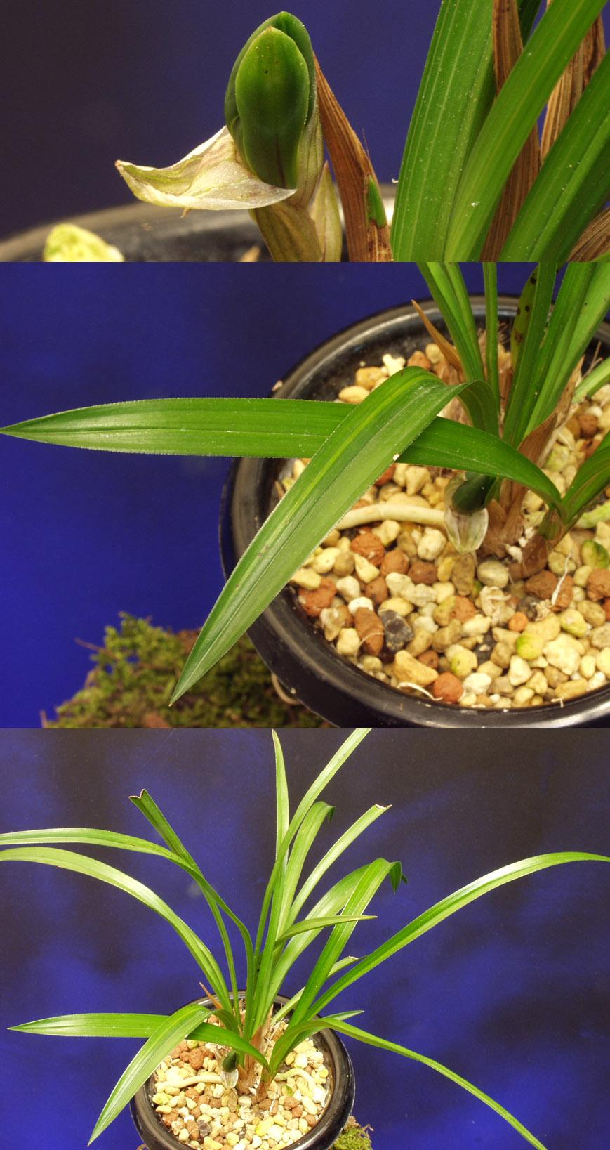 ������ ū������ �� �� �ֽ��ϴ�.