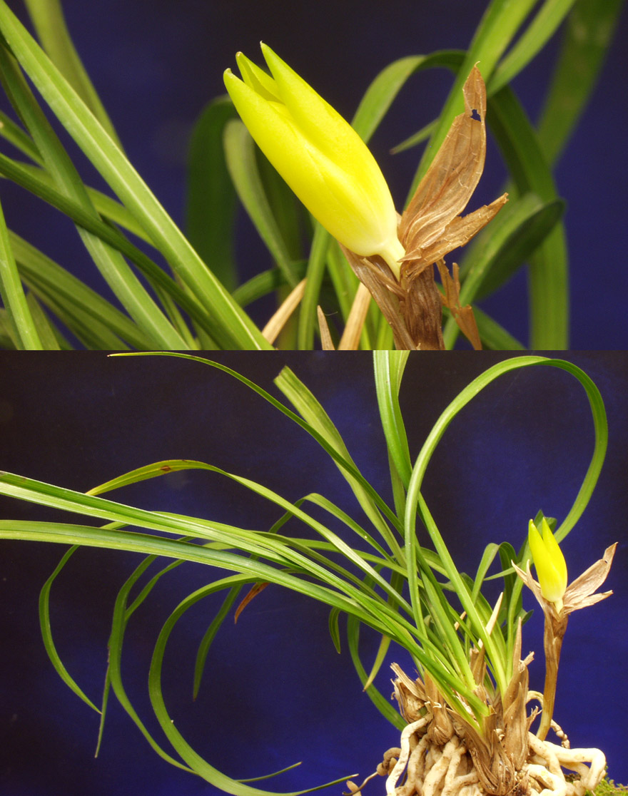 ������ ū������ �� �� �ֽ��ϴ�.