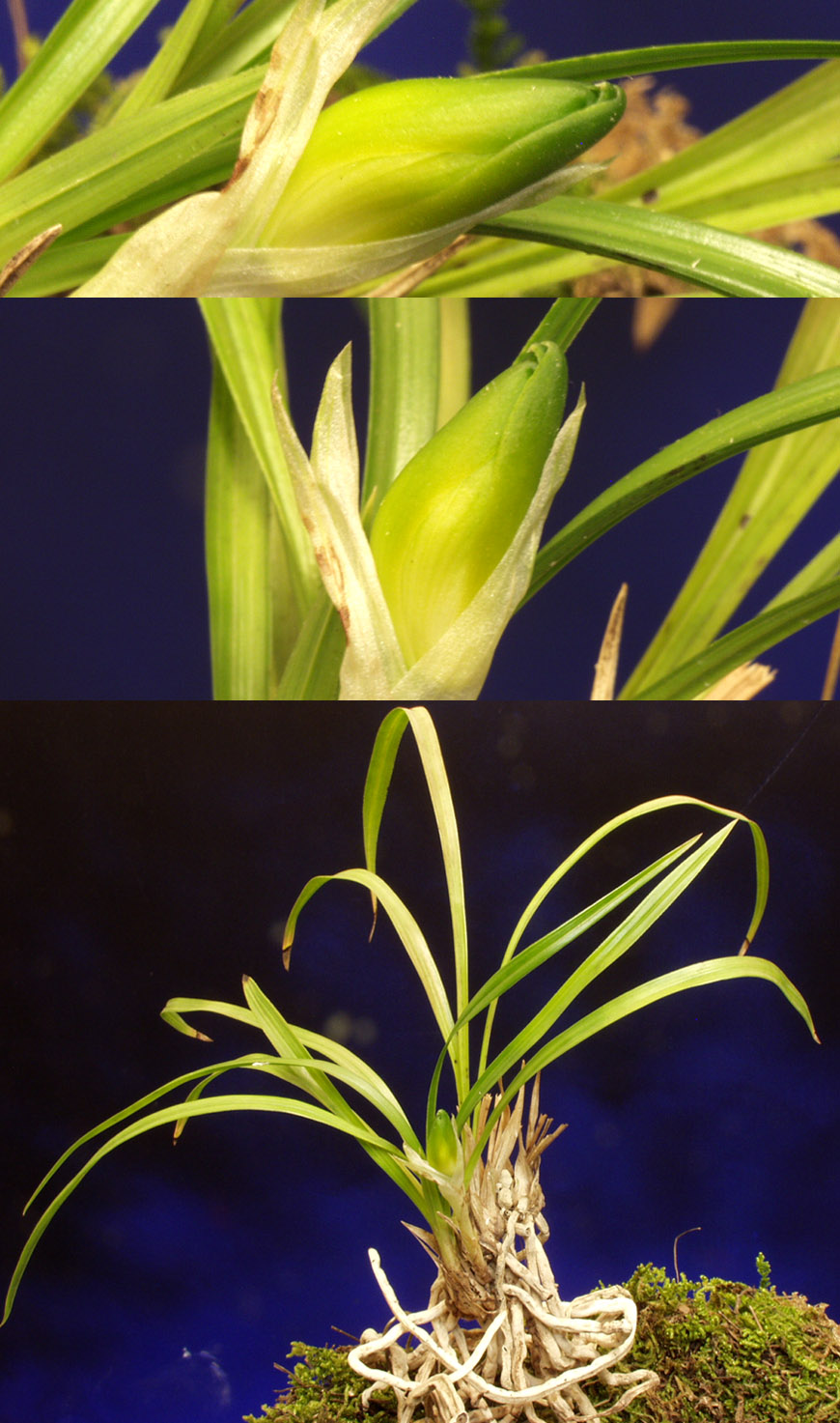 ������ ū������ �� �� �ֽ��ϴ�.