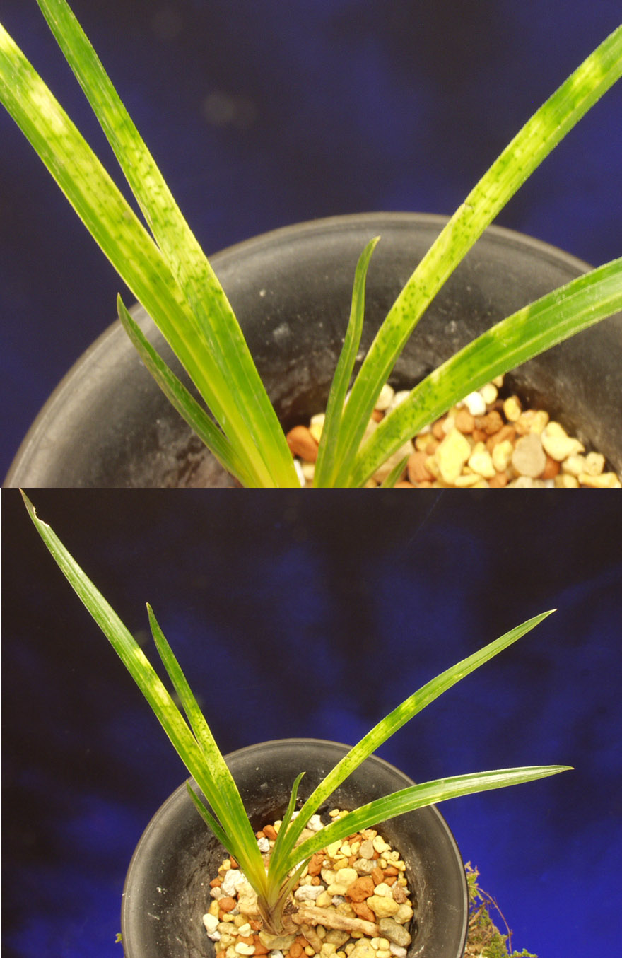 ������ ū������ �� �� �ֽ��ϴ�.