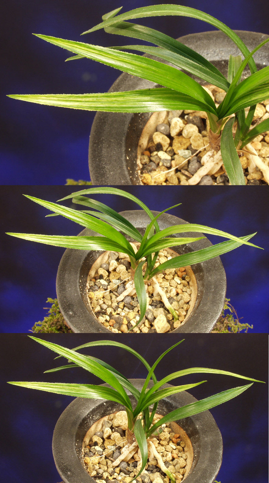 ������ ū������ �� �� �ֽ��ϴ�.