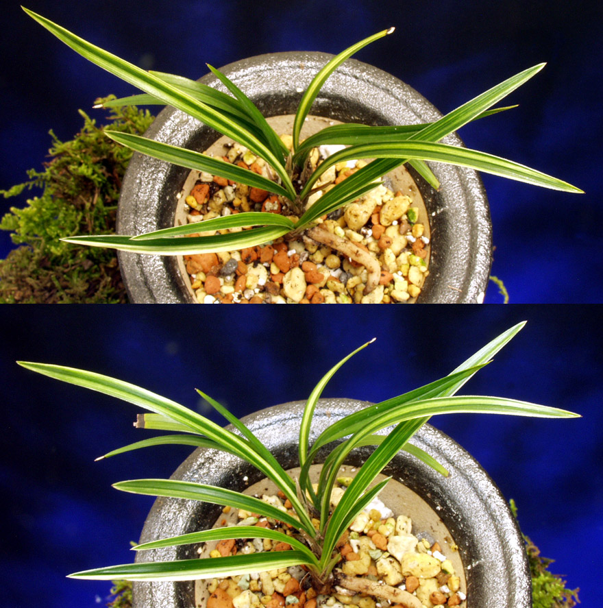 ������ ū������ �� �� �ֽ��ϴ�.