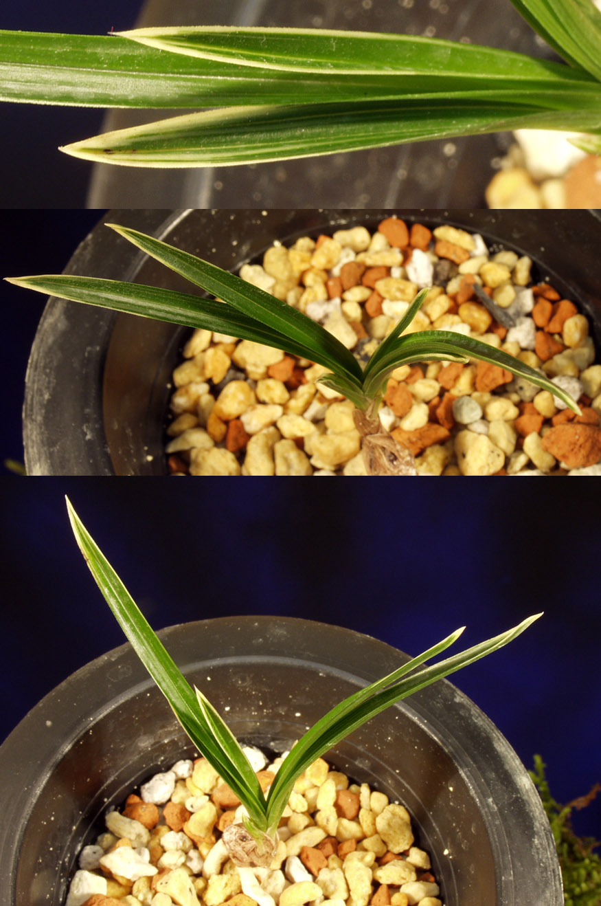 ������ ū������ �� �� �ֽ��ϴ�.