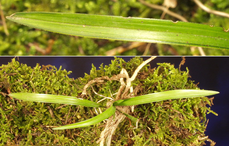 ������ ū������ �� �� �ֽ��ϴ�.