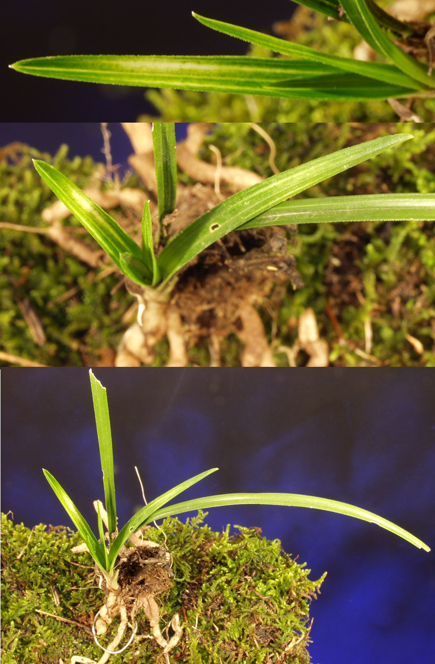 ������ ū������ �� �� �ֽ��ϴ�.