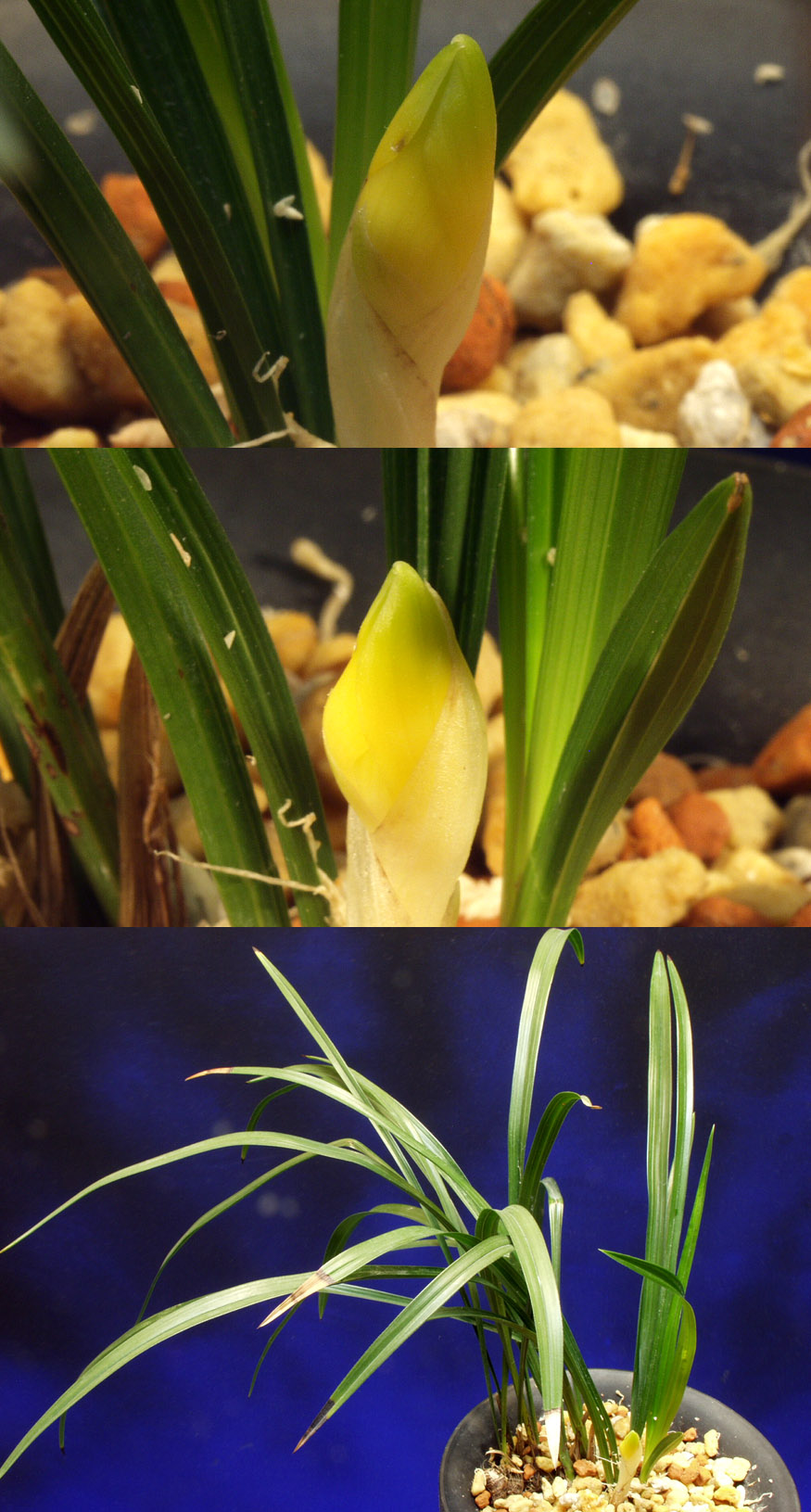 ������ ū������ �� �� �ֽ��ϴ�.