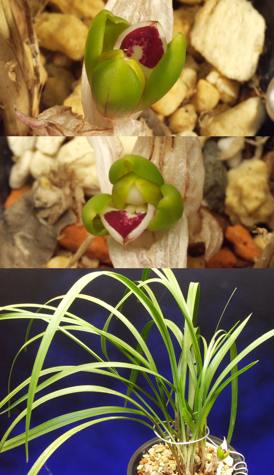 ������ ū������ �� �� �ֽ��ϴ�.