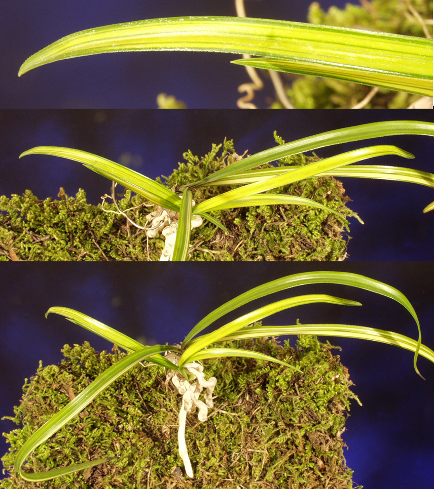 ������ ū������ �� �� �ֽ��ϴ�.