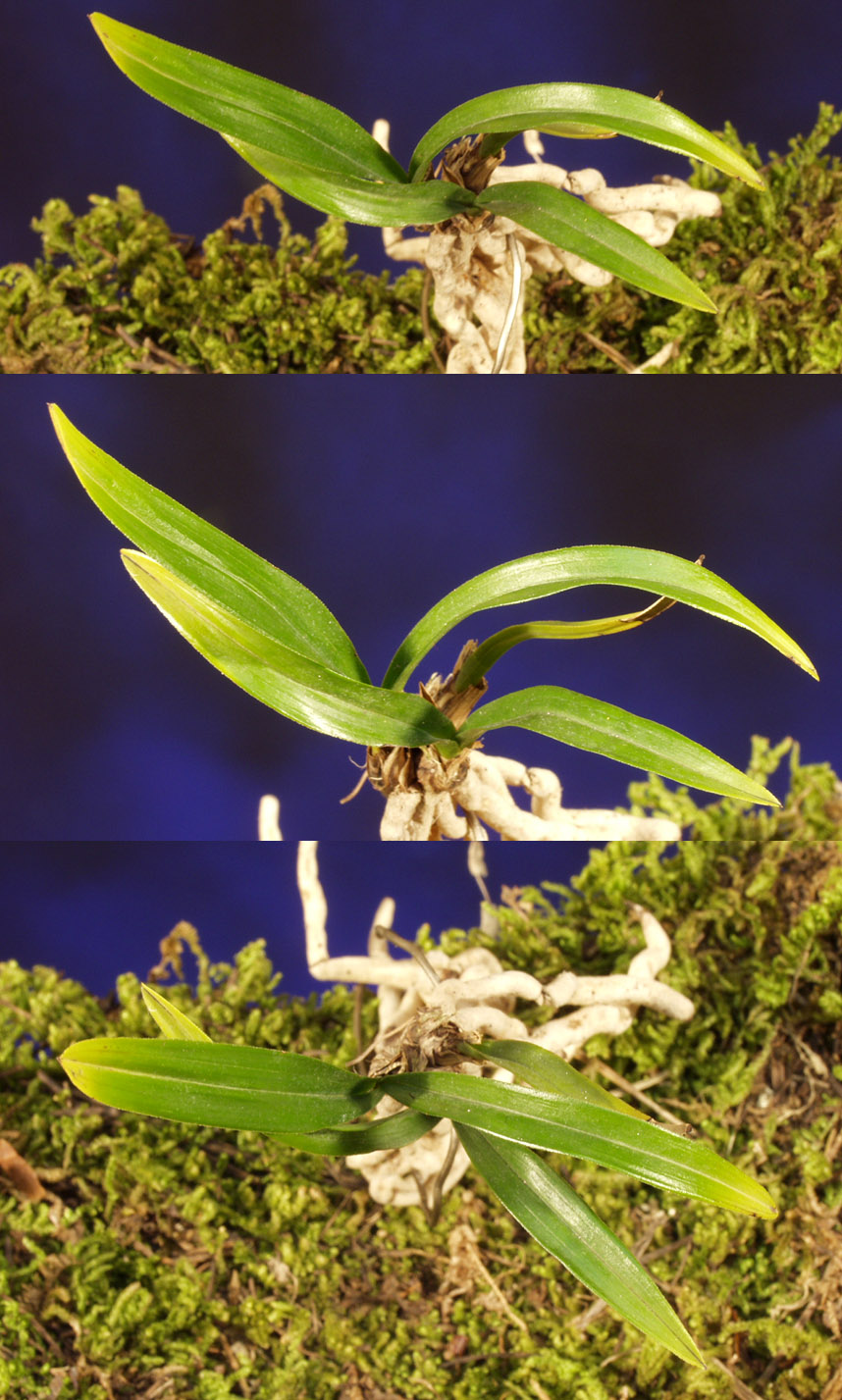 ������ ū������ �� �� �ֽ��ϴ�.