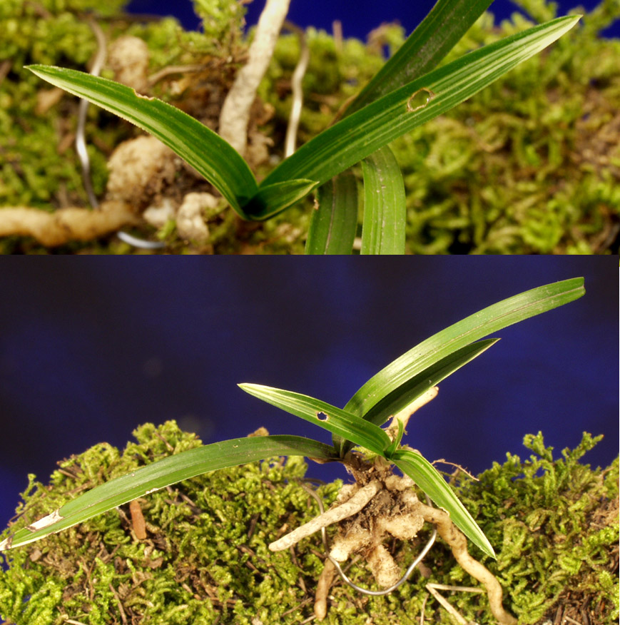 ������ ū������ �� �� �ֽ��ϴ�.