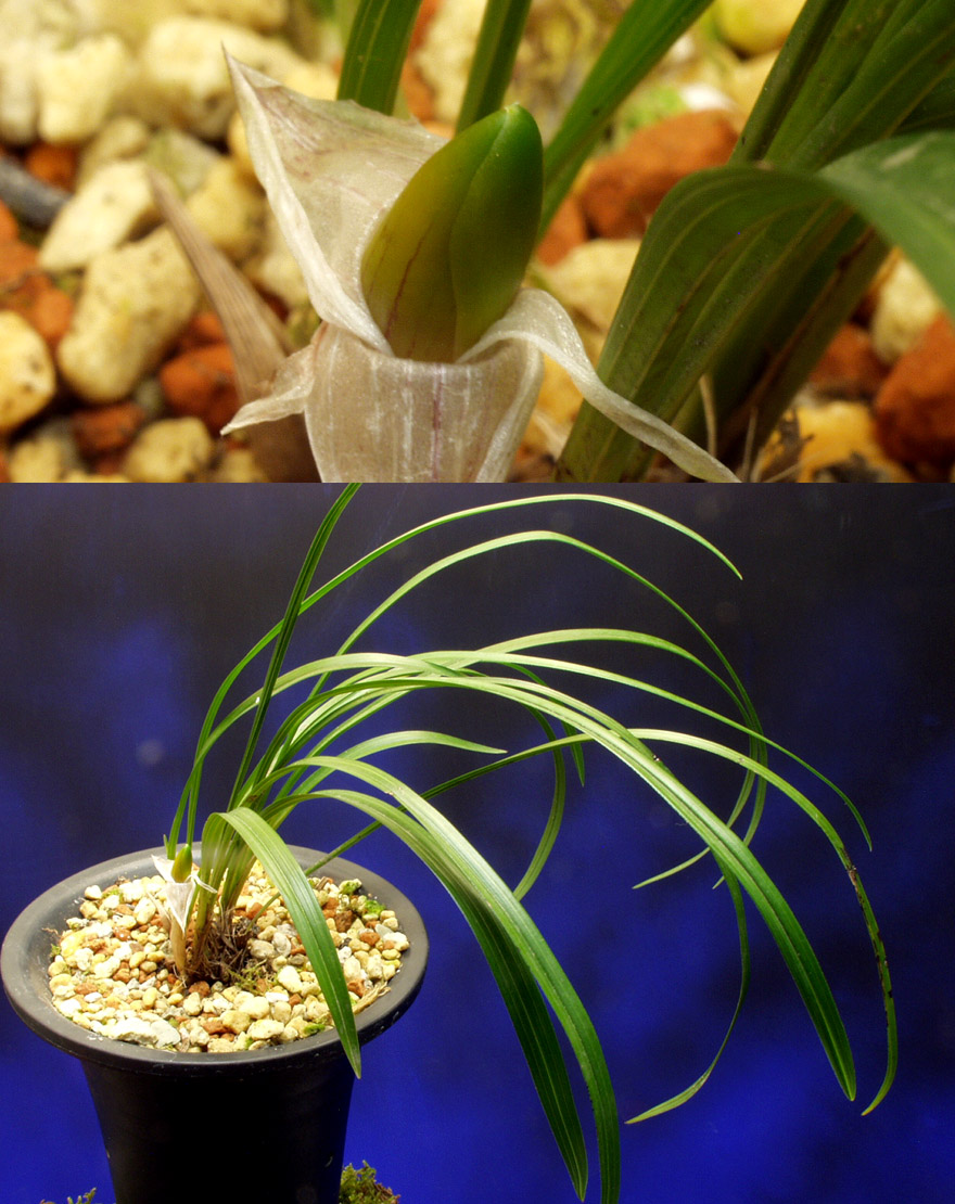 ������ ū������ �� �� �ֽ��ϴ�.