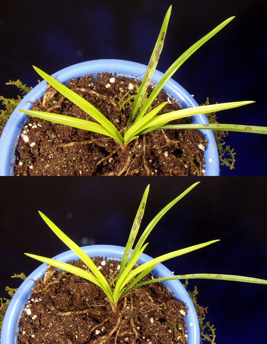 ������ ū������ �� �� �ֽ��ϴ�.